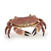PAPO Marine Life Crab Toy Figure, Brown (56047)