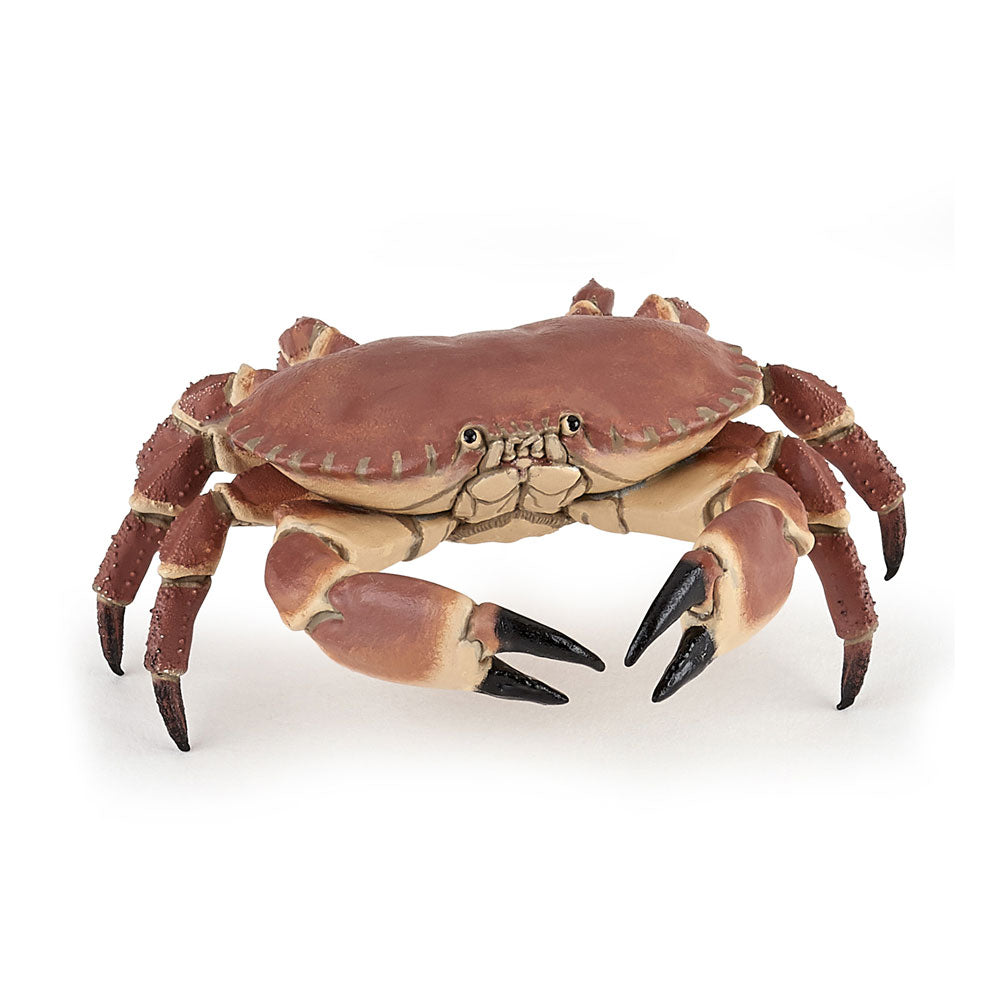 PAPO Marine Life Crab Toy Figure, Brown (56047)