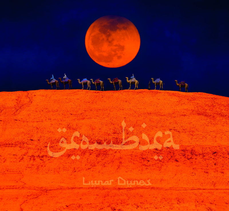 Lunar Dunes