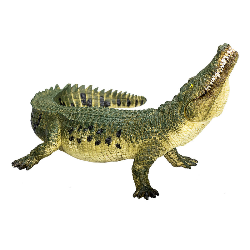 MOJO- Animal Planet Cocodrilo con mandíbula articulada, Color Verde (387162