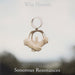 Sonorous Resonances