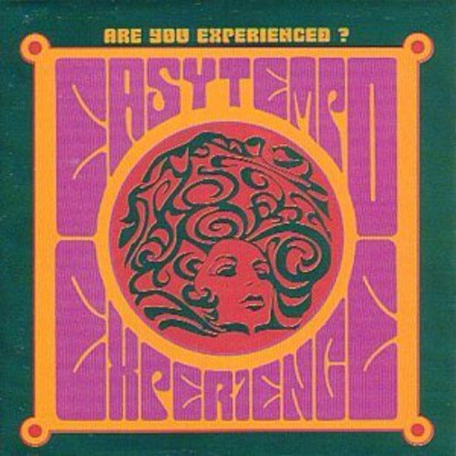 Vol. 2-Experience