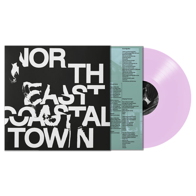 North East Coastal Town