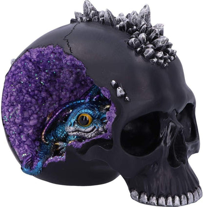 Nemesis Now Cave Small Dragon Hiding Within a Crystal Skull, Polyresin, Black, 16.5cm