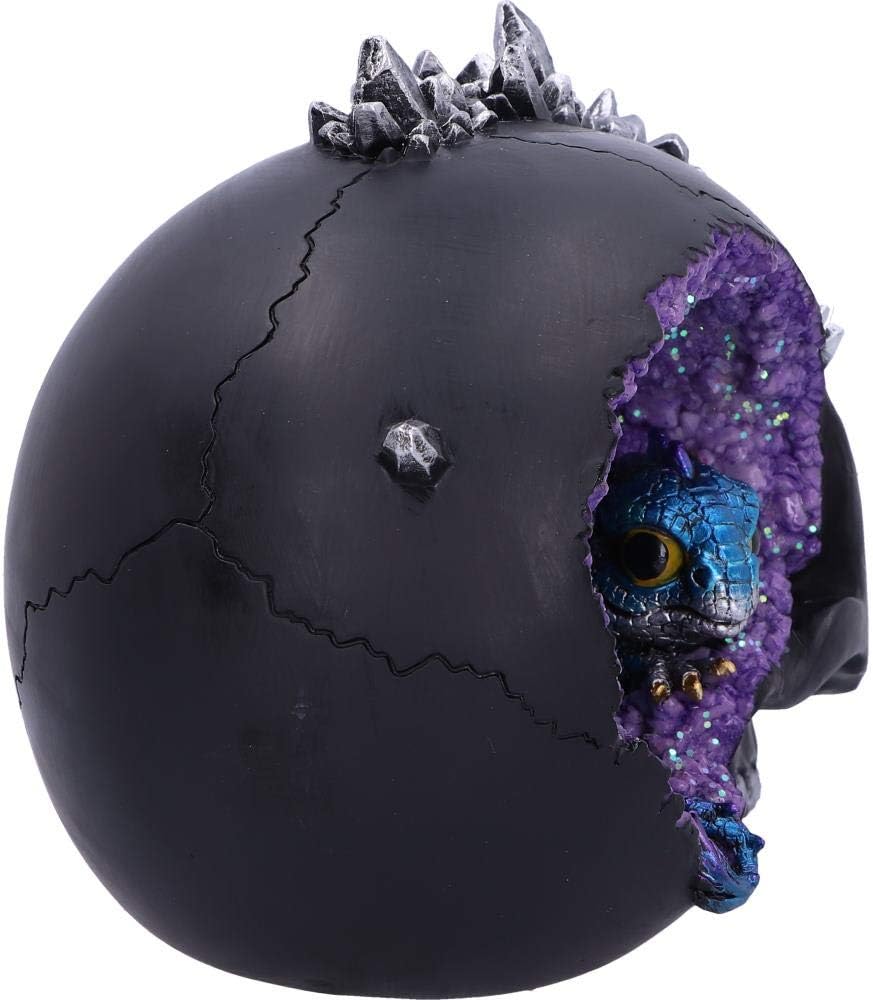 Nemesis Now Cave Small Dragon Hiding Within a Crystal Skull, Polyresin, Black, 16.5cm