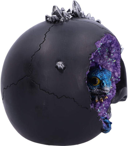 Nemesis Now Cave Small Dragon Hiding Within a Crystal Skull, Polyresin, Black, 16.5cm