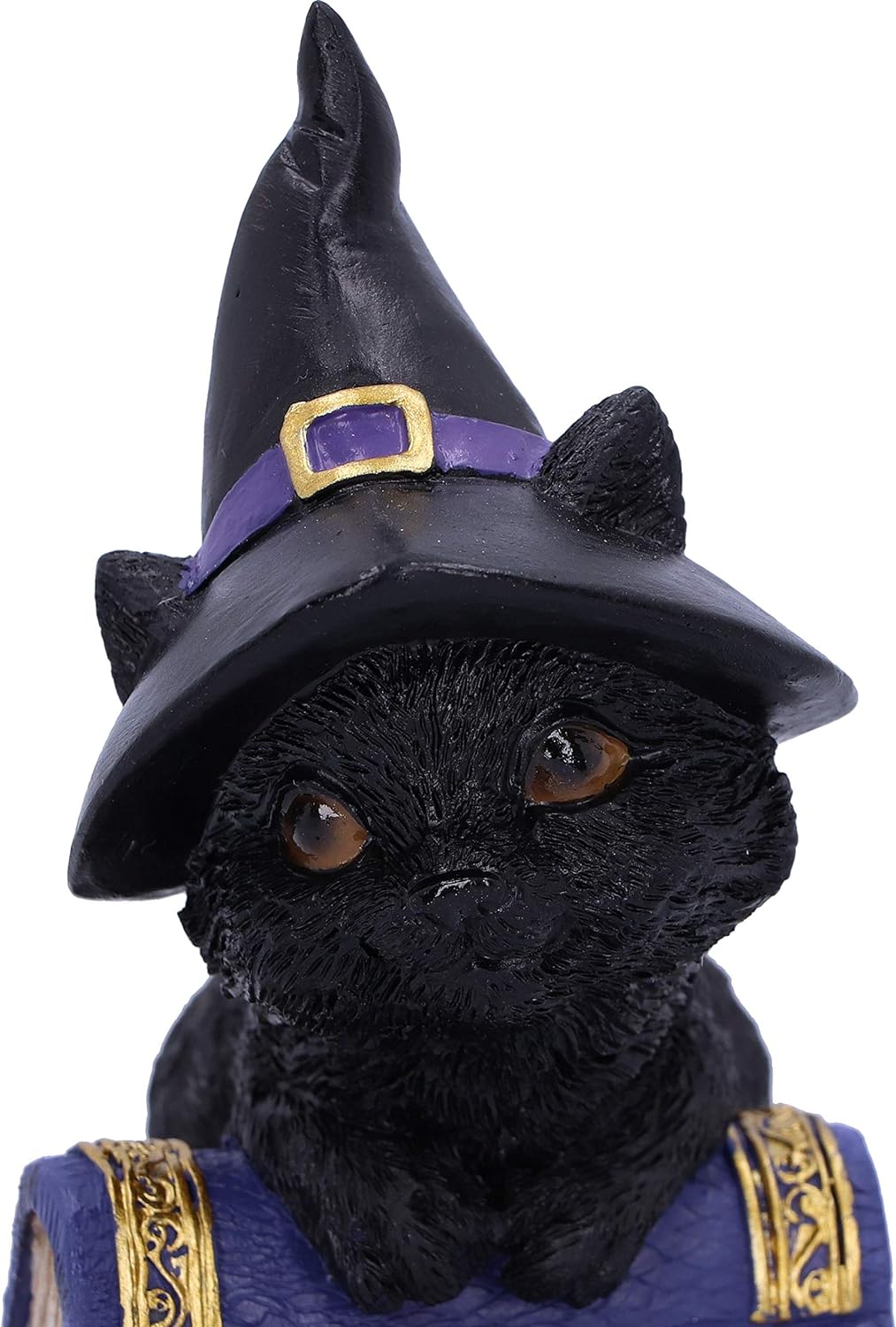 Nemesis Now Pocus Small Witches Familiar Black Cat and Spellbook Figurine, Purple, 12.7cm