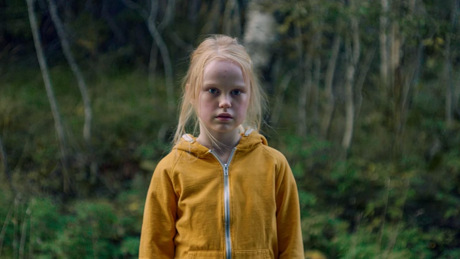 The Innocents