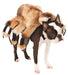 Rubie's 580358L Official Giant Spider Pet Dog Halloween Costume, Brown, Large (Neck to Tail 22 Inch, Chest 20 Inch