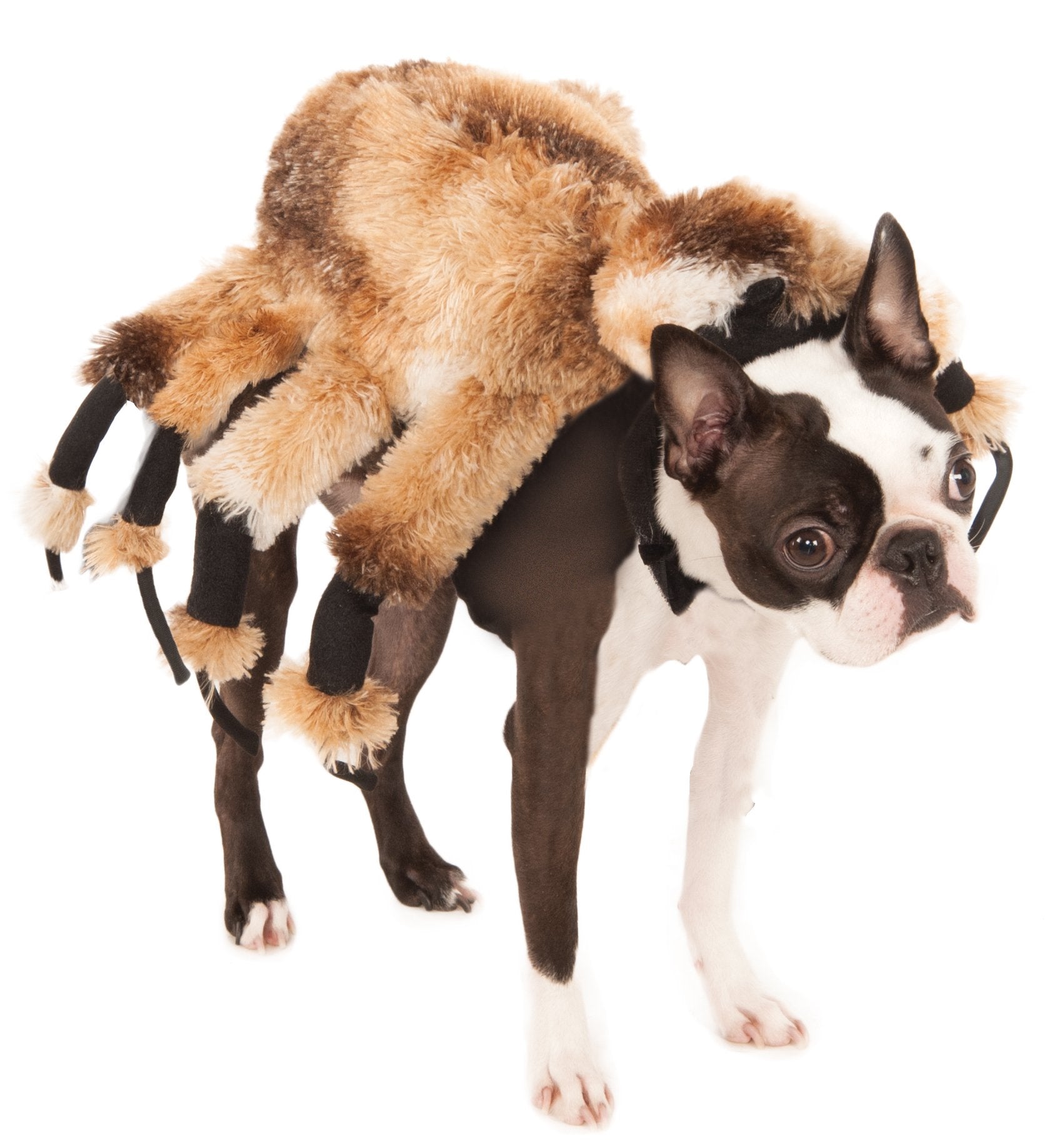 Rubie's 580358L Official Giant Spider Pet Dog Halloween Costume, Brown, Large (Neck to Tail 22 Inch, Chest 20 Inch