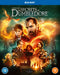Fantastic Beasts: Secrets of Dumbledore (2021)