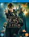 Fantastic Beasts 3-Film Collection