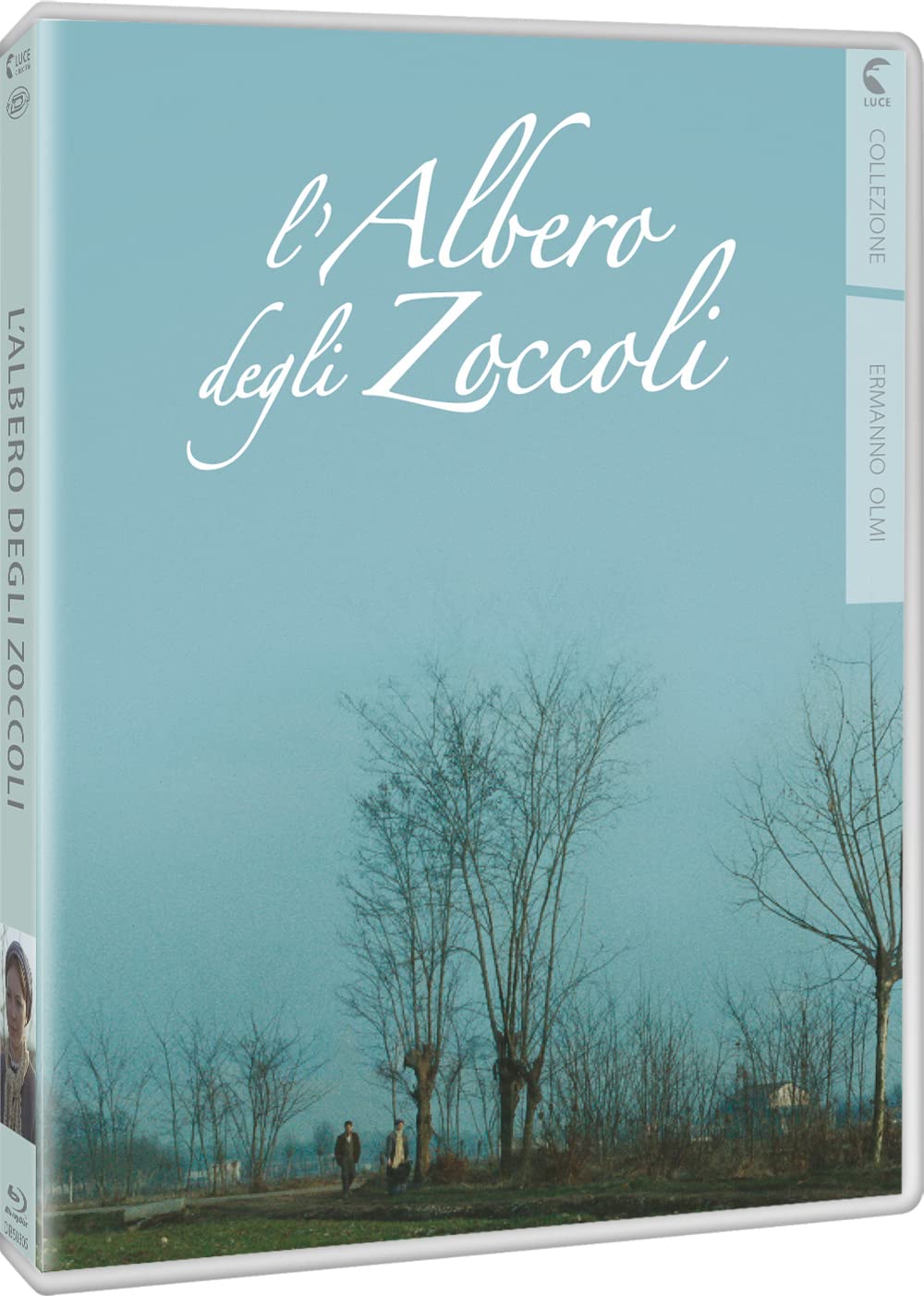 Albero Degli Zoccoli (L'