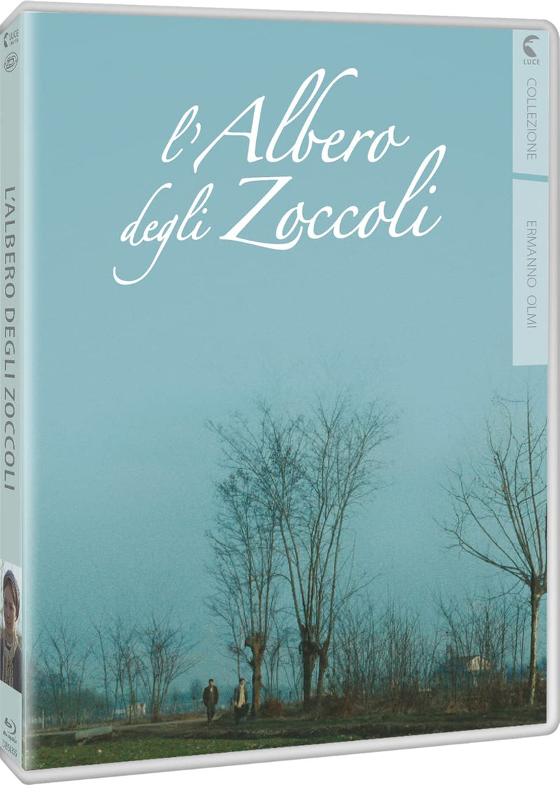 Albero Degli Zoccoli (L'
