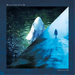 Split EP