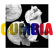 La Edad De Oro De La Cumbia Colombiana