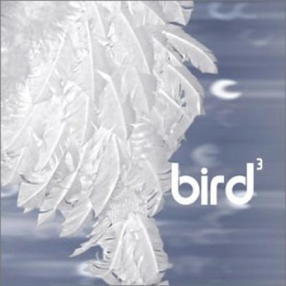 Bird 3