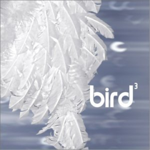 Bird 3