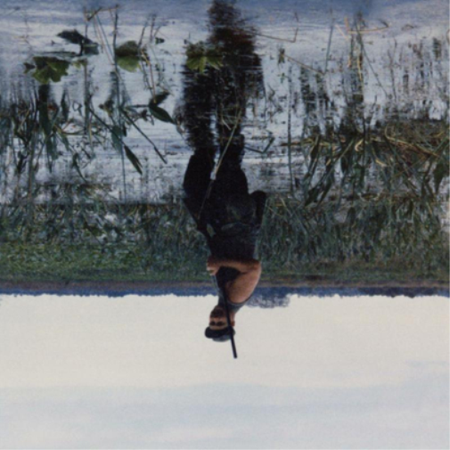 Animal Drowning