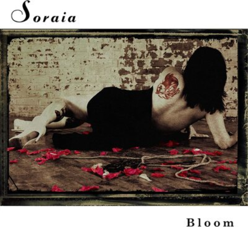 Bloom