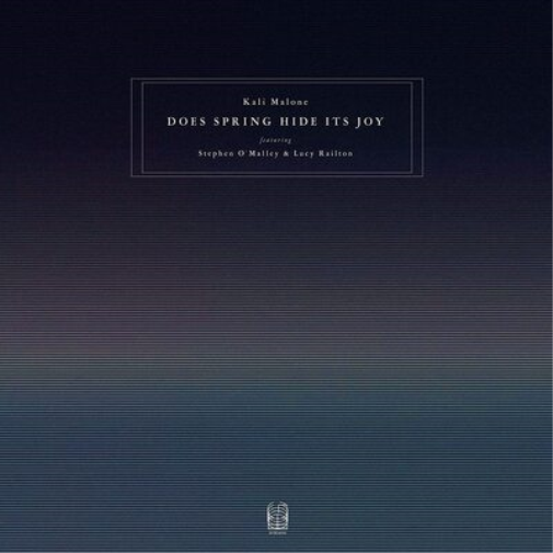 Does Spring Hide Its Joy (Feat. Stephen O'Malley & Lucy Railton)
