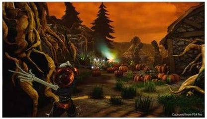 Giochi per Console Sony Entertainment MediEvil