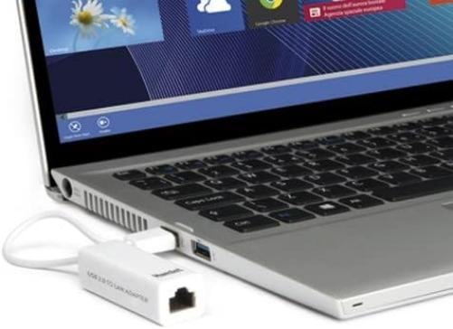 Hamlet HNU2F100 Adaptador de Red Ethernet 100 Mbit/s - Tarjetas de Red (AAlámbrico USB, Ethernet, 100 Mbit/s, Blanco