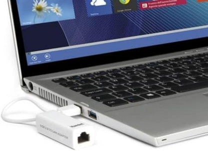 Hamlet HNU2F100 Adaptador de Red Ethernet 100 Mbit/s - Tarjetas de Red (AAlámbrico USB, Ethernet, 100 Mbit/s, Blanco