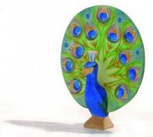 Ostheimer 11841 - Peacock open