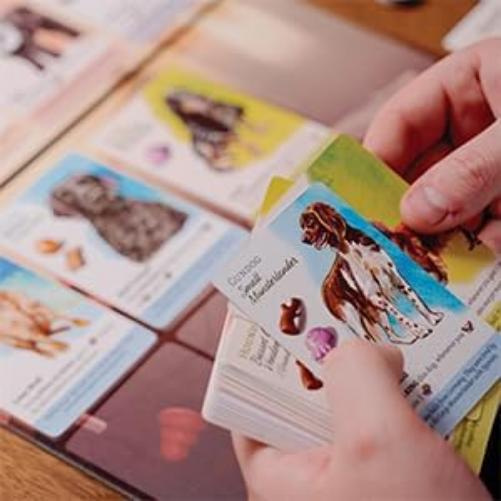Dog Park Strategy Board Game Famous Dogs Expansion by Birdwood Games, Adds New Characters with 29 New Cards, Family Board Game
