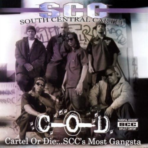 Cartel Or Die