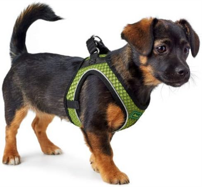 Dog Harness Hunter Hilo-Comfort Size S Lime (42-48 Cm)