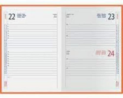 SHOPPARE - Agenda 2024 Giornaliera in Similpelle Sintetico Formato A5 15x21 cm. Vari Colori 9101XMT (arancione)