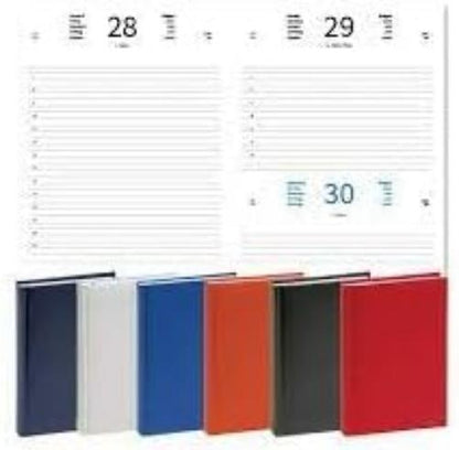 SHOPPARE - Agenda 2024 Giornaliera in Similpelle Sintetico Formato A5 15x21 cm. Vari Colori 9101XMT (arancione)
