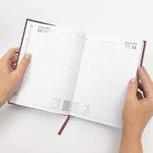 SHOPPARE - Agenda 2024 Giornaliera in Similpelle Sintetico Formato A5 15x21 cm. Vari Colori 9101XMT (arancione)