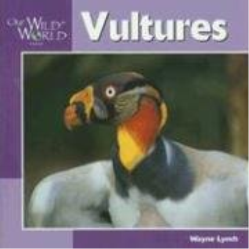 Vultures