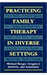 Practicing Family Therapy in Diverse Settings (Master Work)