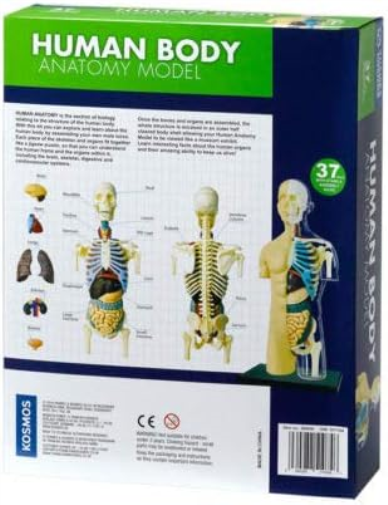 Thames & Kosmos, 260830, Human Body Anatomy Model, 37 Parts with Stand and Guide Book, Build Your Own Human Body, Nature Discovery Range, Ages 8+