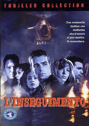 Inseguimento (L`)