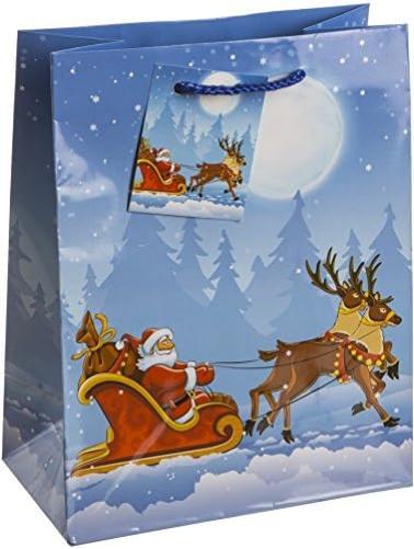 TSI 82018 gift bags Christmas Children, Pack of 12, size: medium (9 x 7 x 4 inch) Mittel (BxTxH) 18 x 10 x 23 cm