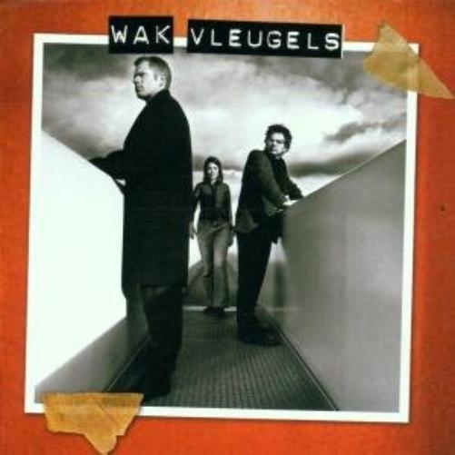 Vleugels