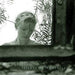 Terrace Of Memories (grey/green)