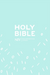NIV Pocket Mint Soft-tone Bible with Zip