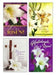 Warner Press Card-Boxed-Resurrection Blessings Assorted (Pack Of 12