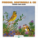 Pinsons, Bouvreuils & Cie: Finches and Allies