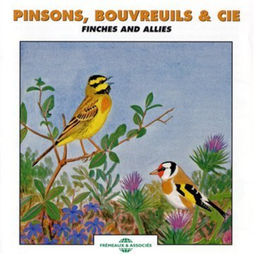 Pinsons, Bouvreuils & Cie: Finches and Allies