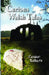 Curious Welsh Tales