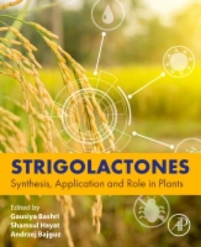Strigolactones