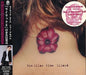 Lilac Time-Lilac6