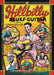 Hillbilly Blues Guitar